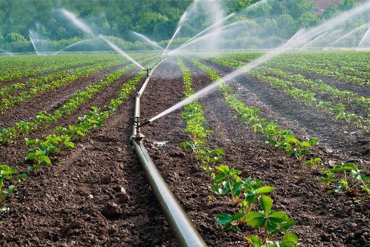 Banca Mondială va acorda suport financiar pentru reabilitarea infrastructurii de irigație din Moldova