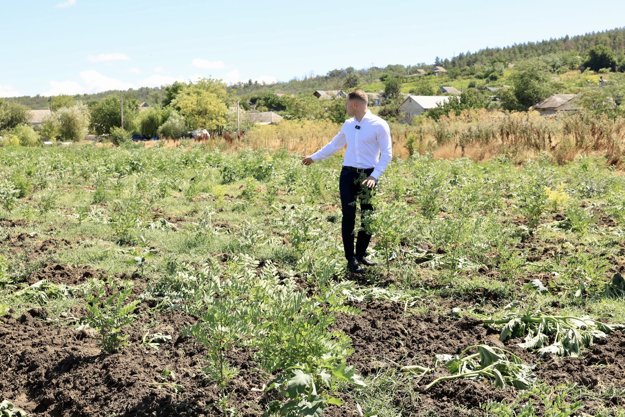 FOTO La Cania, pe malul râului Tigheci, prinde viață o pădure de 9 hectare