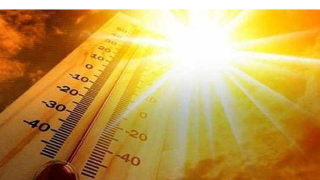 Canicula face victime: Cinci decese s-au înregistrat în Italia din cauza căldurii extreme