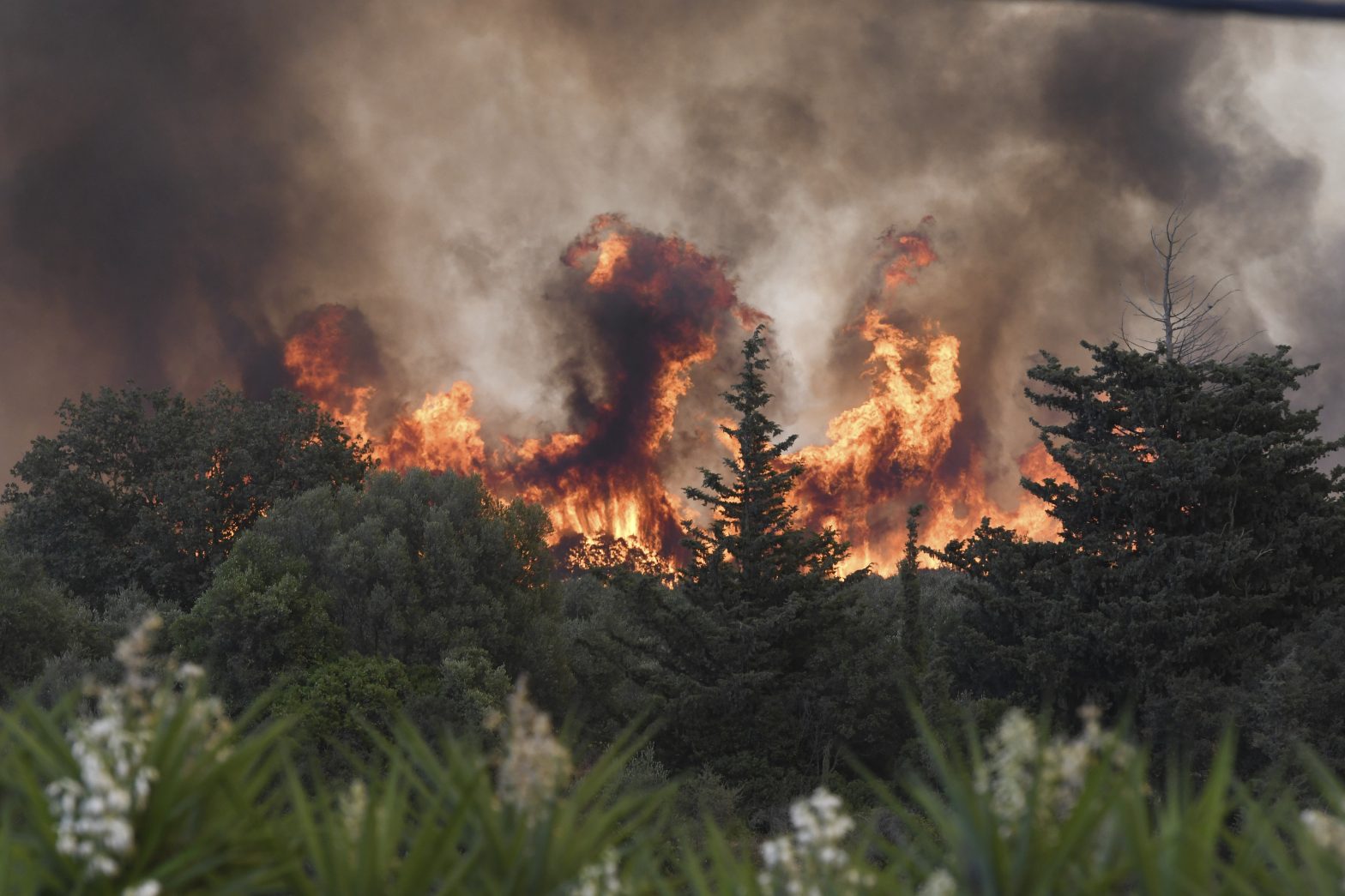 IMAGINI din INFERN. Grecia se confruntă cu noi incendii uriașe. Aproape 8.000 de oameni evacuați din calea flăcărilor