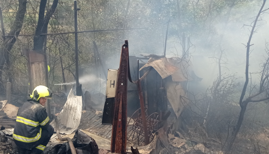 FOTO Incendiul devastator de la Cantemir: 7 construcții auxiliare, 2 garaje și circa 4 hectare de vegetație, distruse