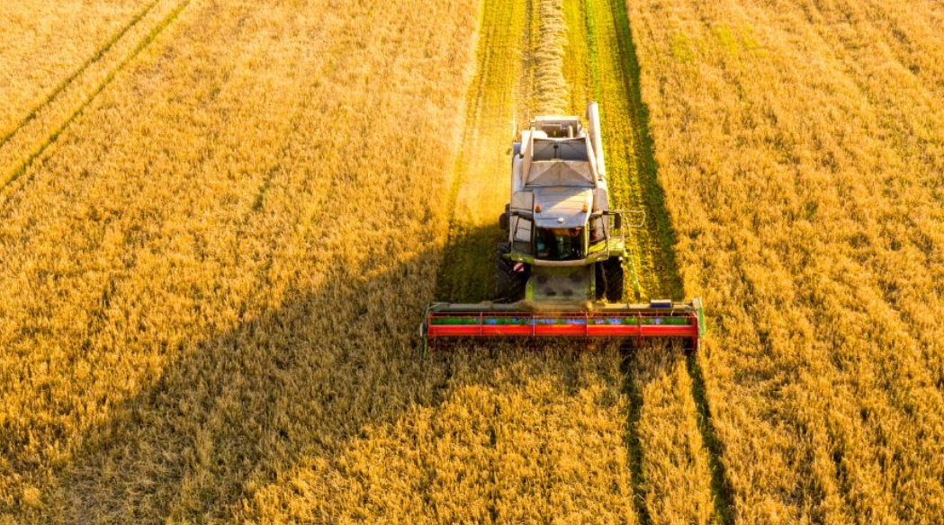 Important pentru producătorii agricoli. Programul de rambursare a TVA a fost modificat