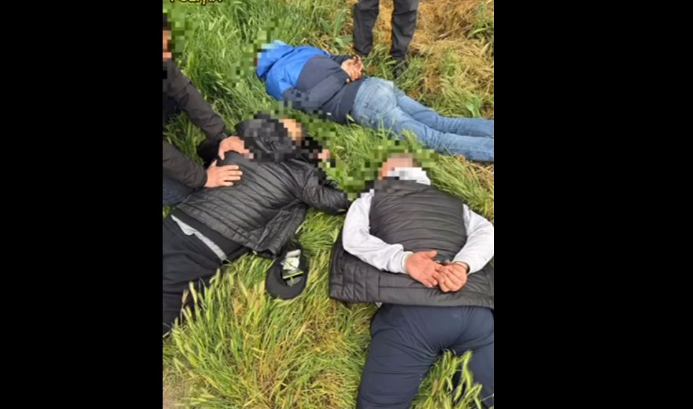 VIDEO Percheziții la domiciliile a patru persoane din sudul țării. Trei suspecți, reținuți