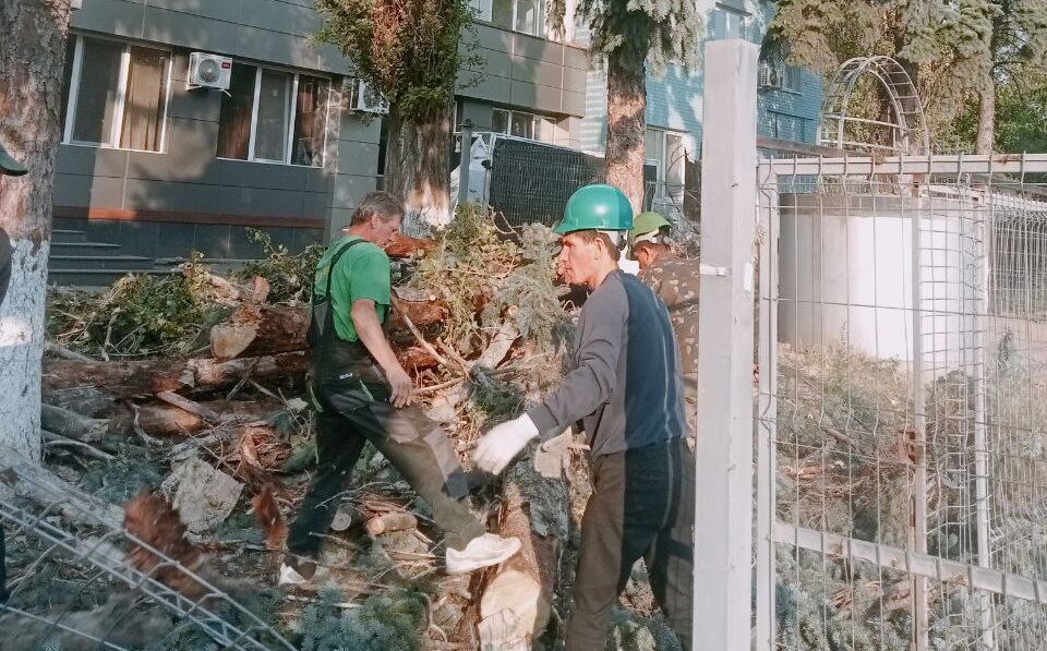 Vântul puternic a făcut ravagii în Capitală : Arbori smulși din rădăcini și pericol pe străzi