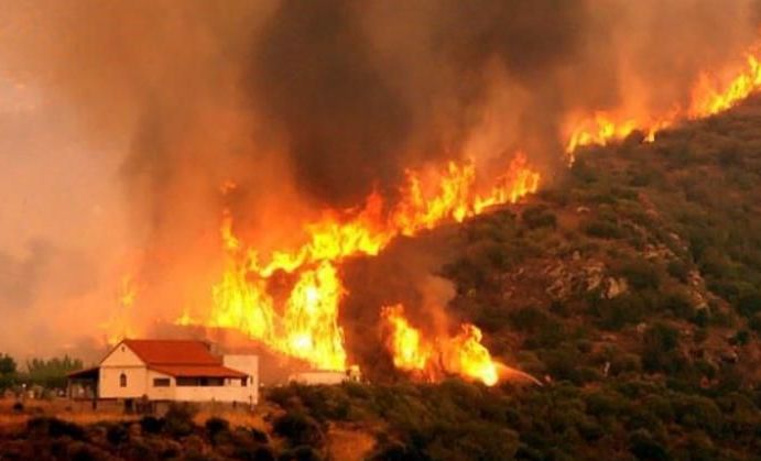 Incendii de vegetație puternice în Portugalia. Lisabona cere ajutorul Europei