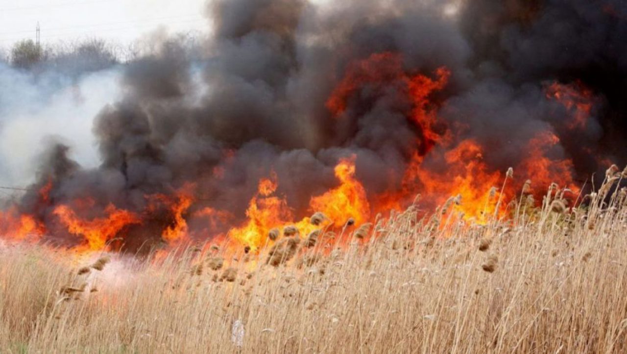 Avertizare meteo: A fost emis Cod Galben de pericol de incendiu în Republica Moldova