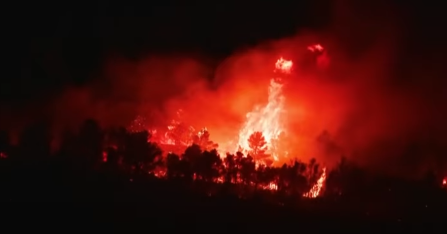 Bilanț sumbru. Incendiul din sudul Franței a mistuit 16.000 de hectare. Un mort și 13 răniți