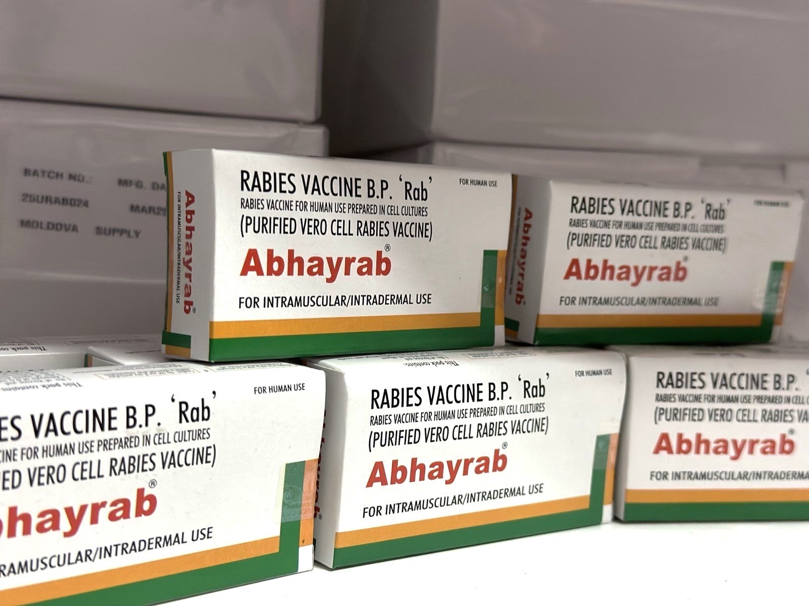 Moldova a achiziționat 3200 de doze de vaccin antirabic. CNAM va aloca peste 407 mii de lei