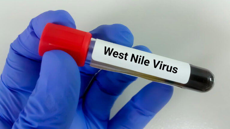 Virusul West Nile face ravagii în Itlaia. 12 oameni au murit din cauza infecției