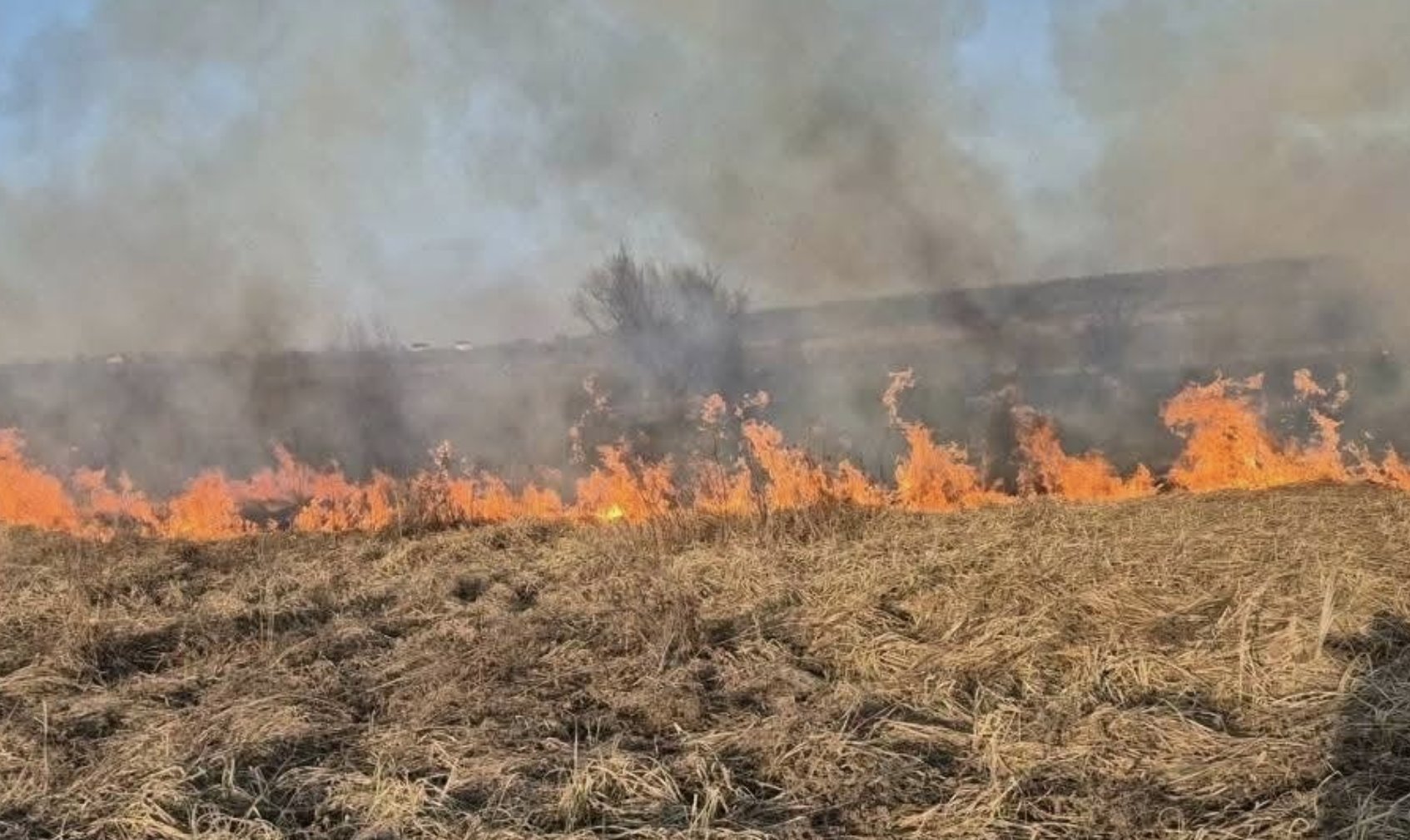 Amenzi pentru arderea vegetației uscate: peste 1,25 milioane de lei