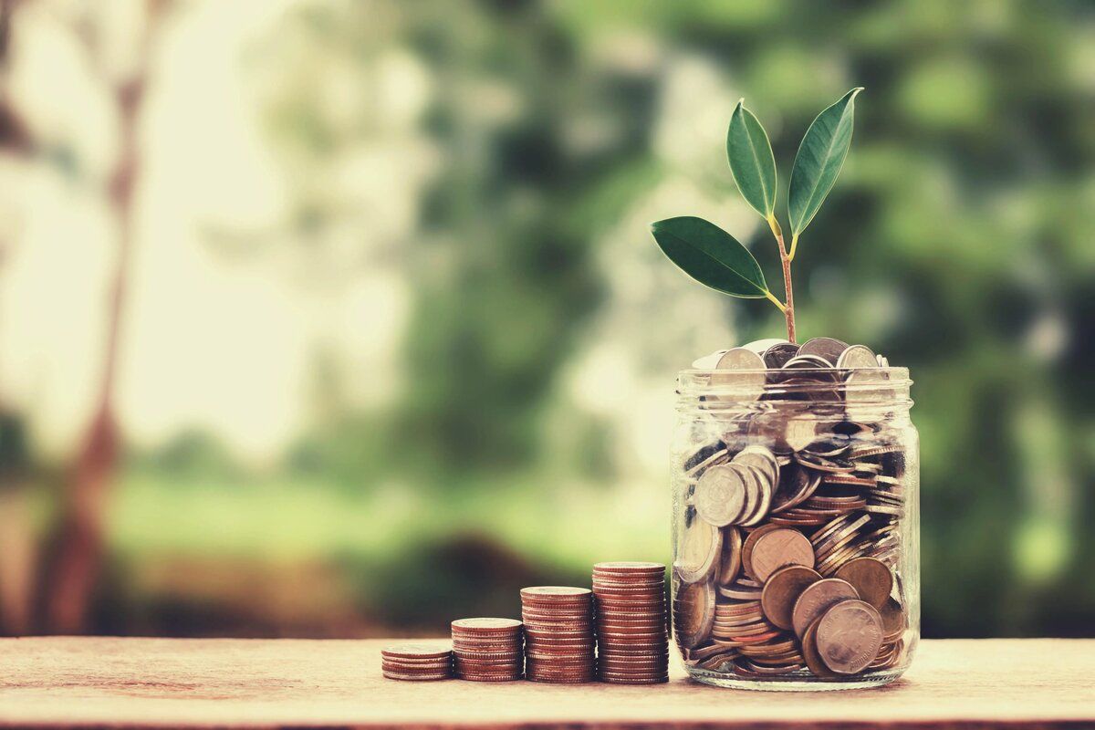 Ajutor financiar pentru fermieri afectați de intemperii. Agricultorii pot depune cereri