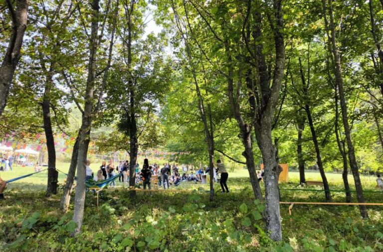 Cum ajungi la Festivalul Pădurilor? Detalii privind transportul gratuit organizat pentru vizitatori