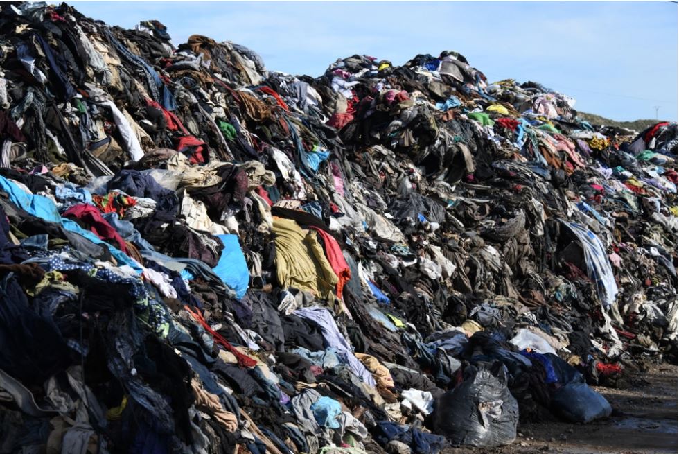 Parlamentul European impune reguli obligatorii pentru reducerea risipei alimentare și a deșeurilor textile