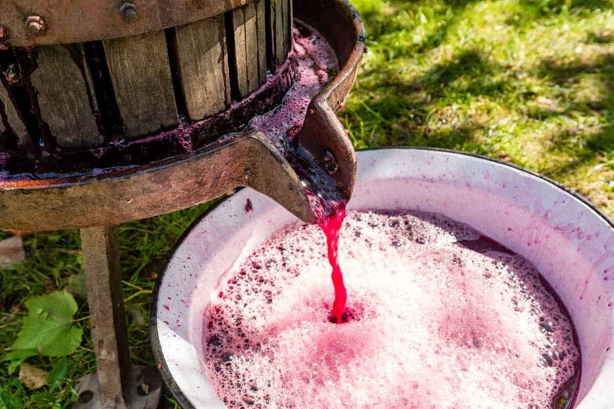 IGSU avertizează: În toiul fermentării vinului, pericolul nu e beția, ci intoxicația cu dioxid de carbon