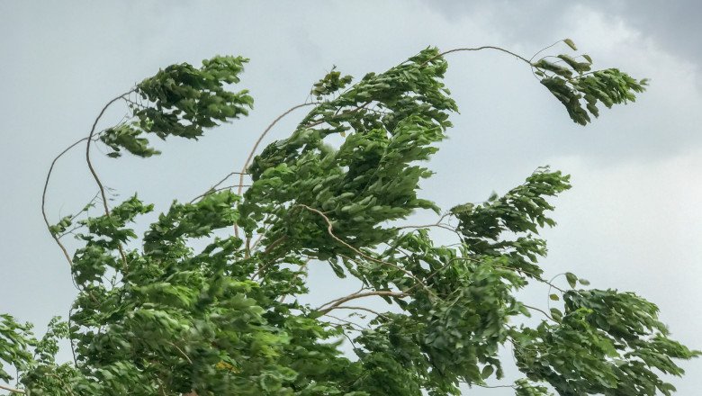 Vine furtuna peste Moldova. A fost emis Cod Galben de vânt