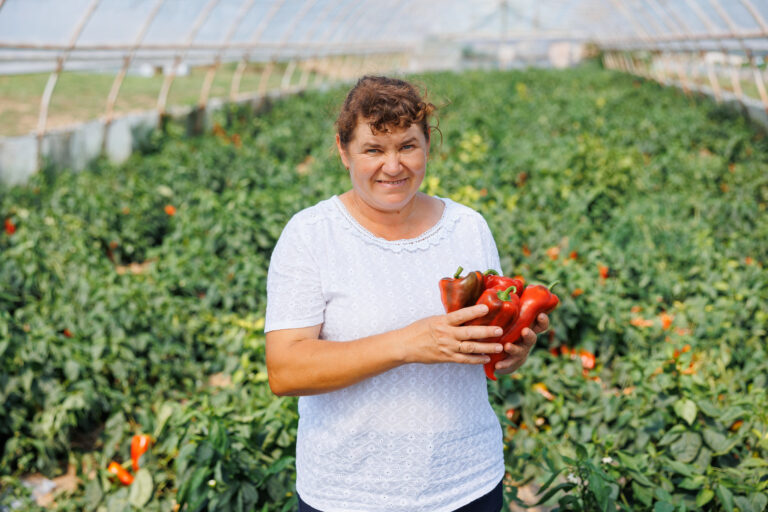 Tot mai multe femei se implică în agricultură. Peste 700 de antreprenoare au primit finanțare în ultimul an