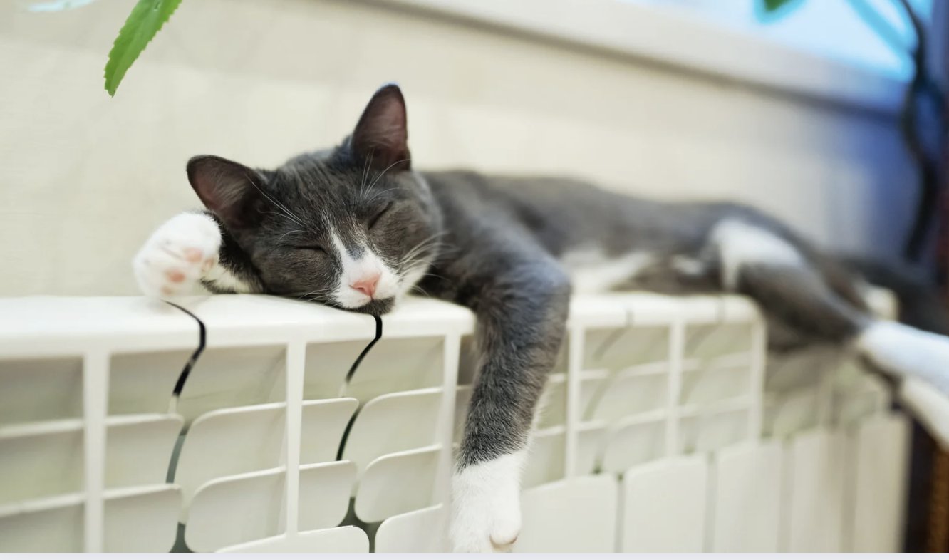 Chișinău intră treptat în sezonul rece: „Termoelectrica” este pregătită să furnizeze energie termică