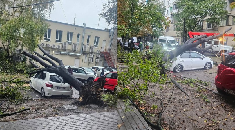 FOTO Consecințele ploilor din Capitală: un copac s-a prăbușit peste o mașină parcată, iar zeci de crengi sunt doborâte