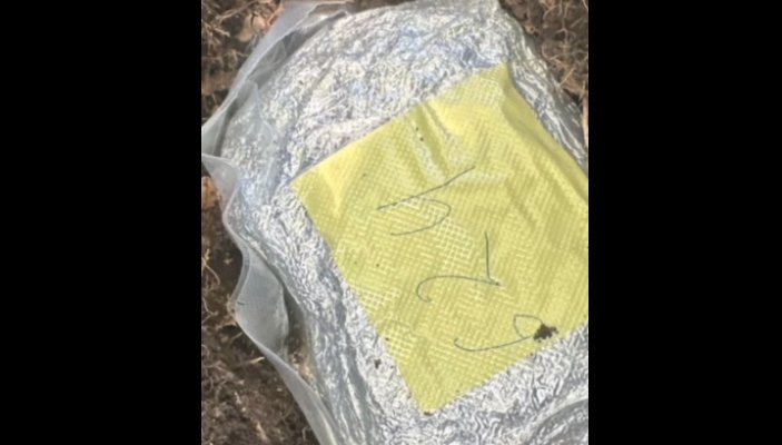 VIDEO Captură de droguri de circa 1.200.000 lei, la Bălți. Un bărbat a fost arestat, soția cercetată în libertate