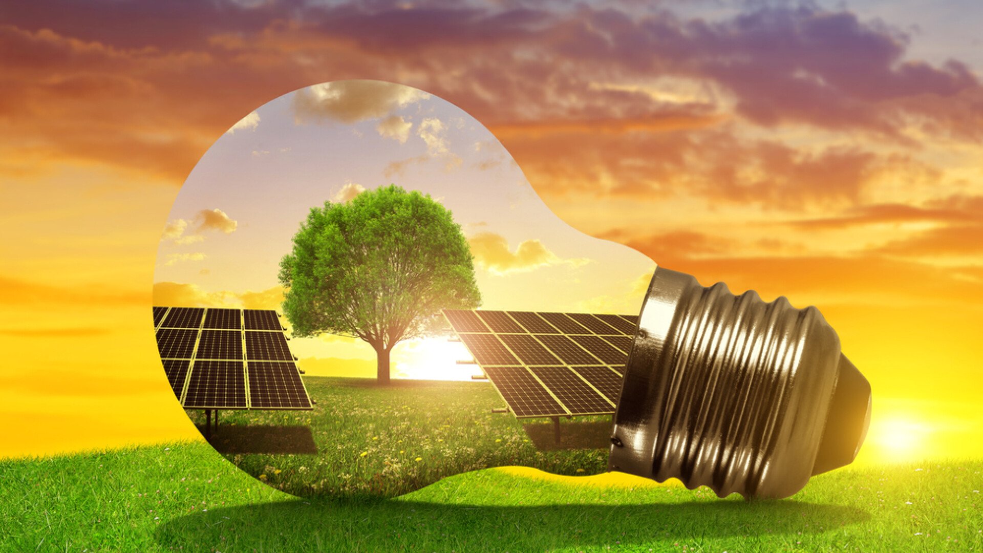 ANRE a aprobat noi tarife fixe și prețuri plafon pentru producerea energiei electrice din surse regenerabile