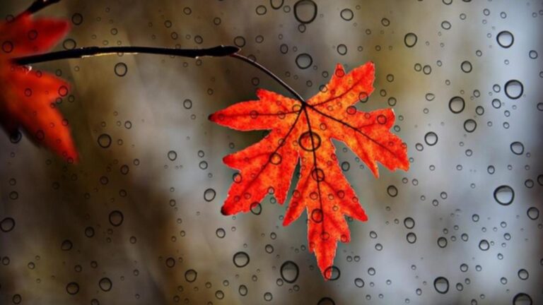 Temperaturi scăzute și ploi slabe în unele regiuni ale țării. Află prognoza meteo