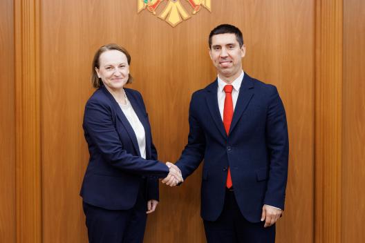 Ministrul Popșoi, prima întrevedere cu șefa Delegației UE în Moldova. Subiectele abordate