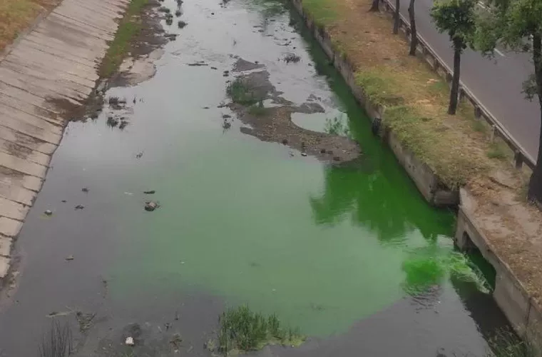 Termoelectrica explică de ce apa râului Bîc s-a colorat în verde: Rugăm cetățenii să nu se alarmeze