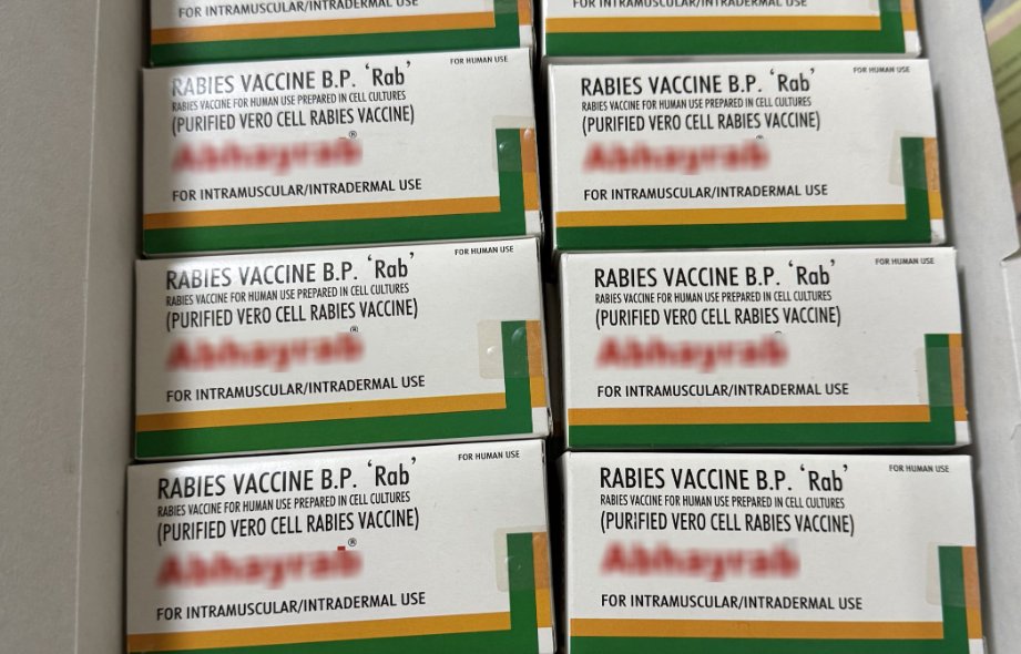 CNAM a procurat ultimul lot de vaccin antirabic din acest an. A alocat peste 380 de mii de lei