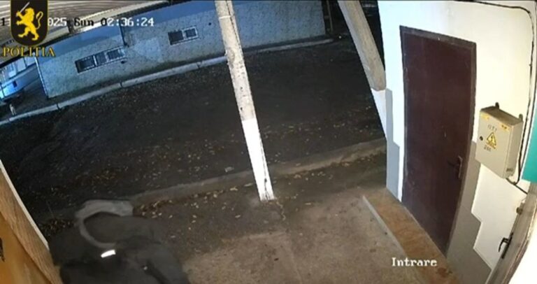 Hoții care au dat lovitura la un schimb valutar din Florești, de negăsit