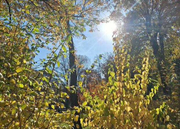 Temperaturi peste valorile normei. Cum va fi vremea în Moldova, în luna noiembrie