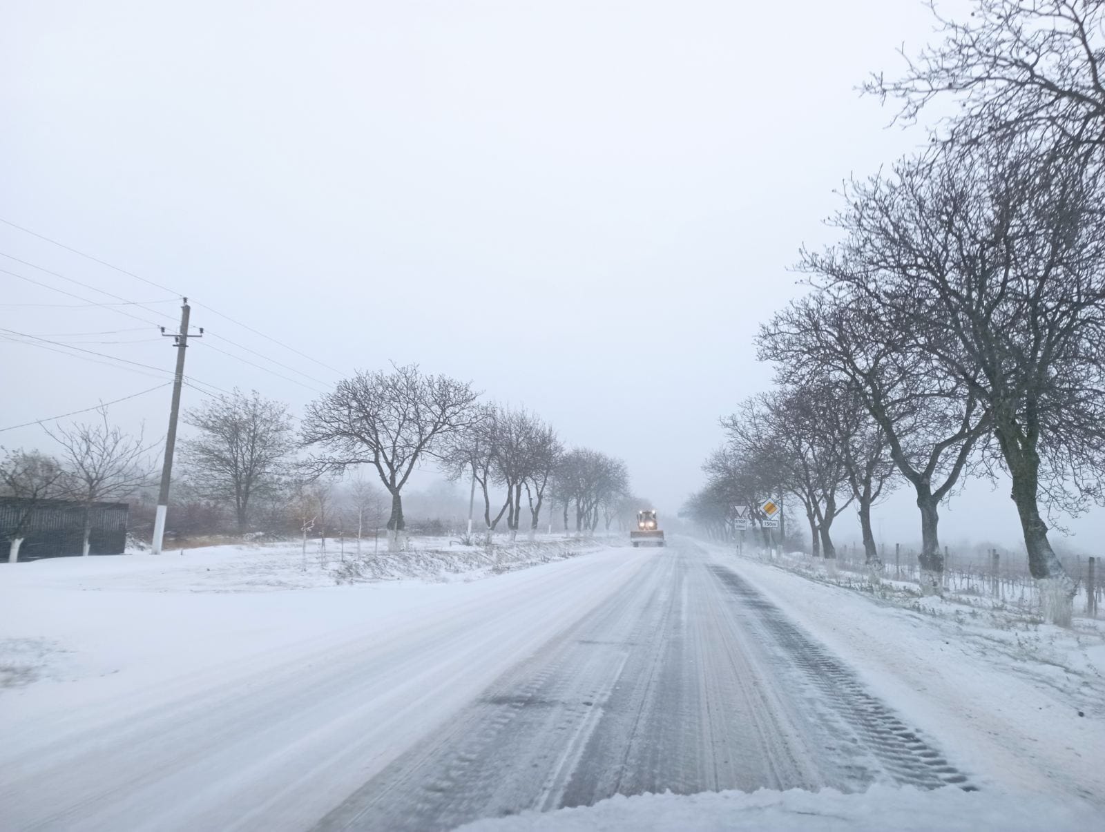 Ninsori slabe în ultima zi din acest an. Vezi câte grade sunt așteptate