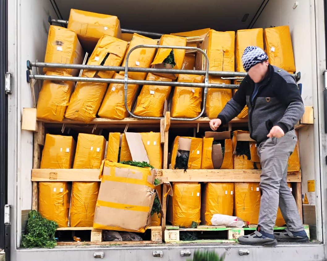 ANSA: Mii de kilograme de verdețuri și ceai, distruse din cauza pesticidelor