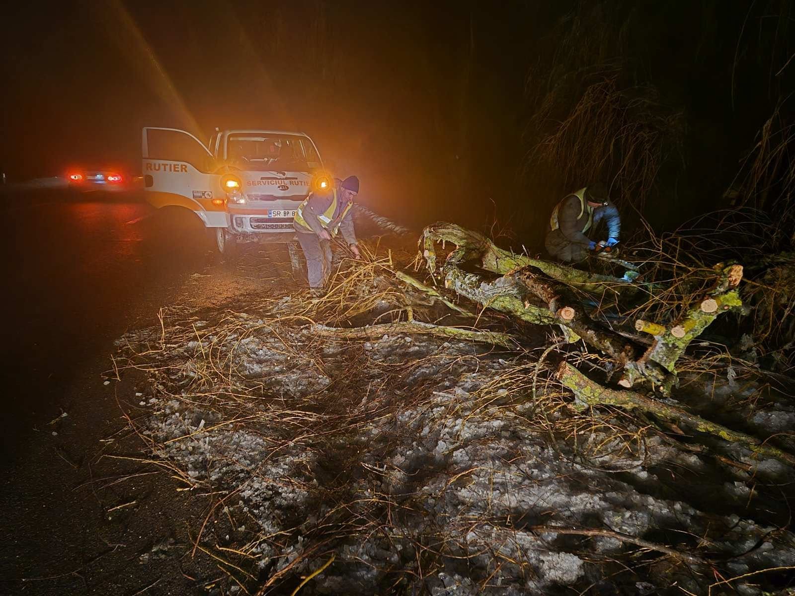 Drumarii au intervenit pe timpul nopții pe mai multe drumuri din țară. Mulți arbori au căzut pe unele drumuri