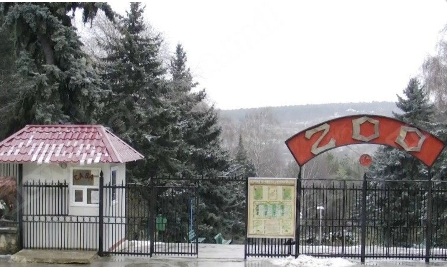 Iarna la Grădina Zoologică:  Cum fac față animalele temperaturilor scăzute din aceste zile