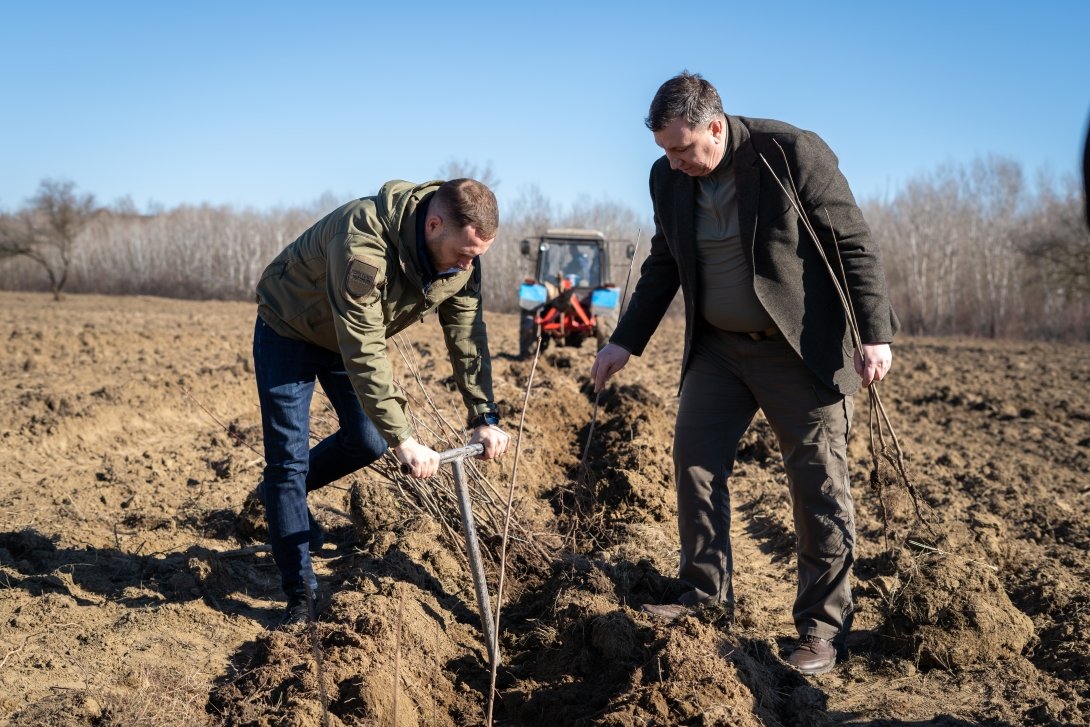 Start campaniei de împădurire: pe 14 martie moldovenii sunt invitați să planteze copaci