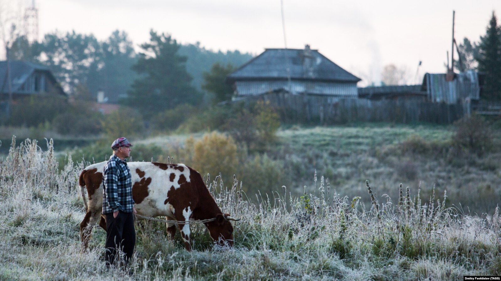 Koziha, epicentrul protestelor: animalele sănătoase sunt sacrificate în masă. Șapte fermieri au fost amendați
