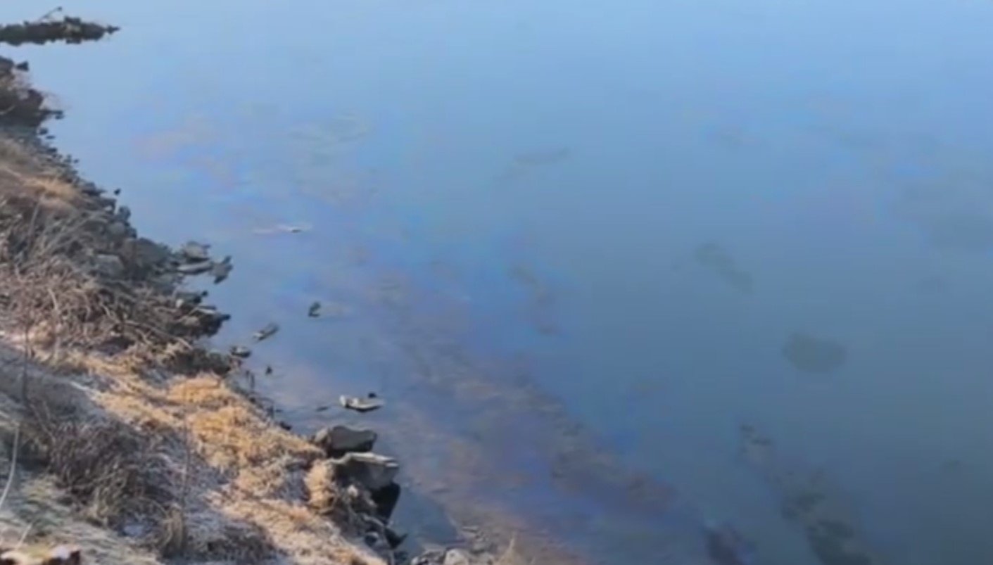 Autoritățile vor instala filtre pe mai multe porțiuni ale râului Nistru, după ce au fost observate pete uleioase