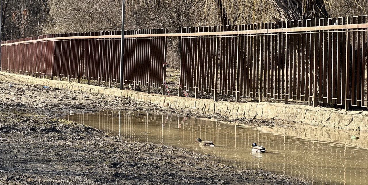 Pista pentru alergători din Valea Morilor a devenit impracticabilă. Oamenii se plâng că nu se pot deplasa