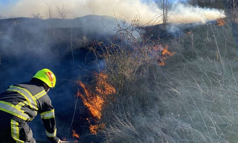 Glodeni: Un bărbat s-a ales cu arsuri după ce a încercat să stingă un incediu de vegetație