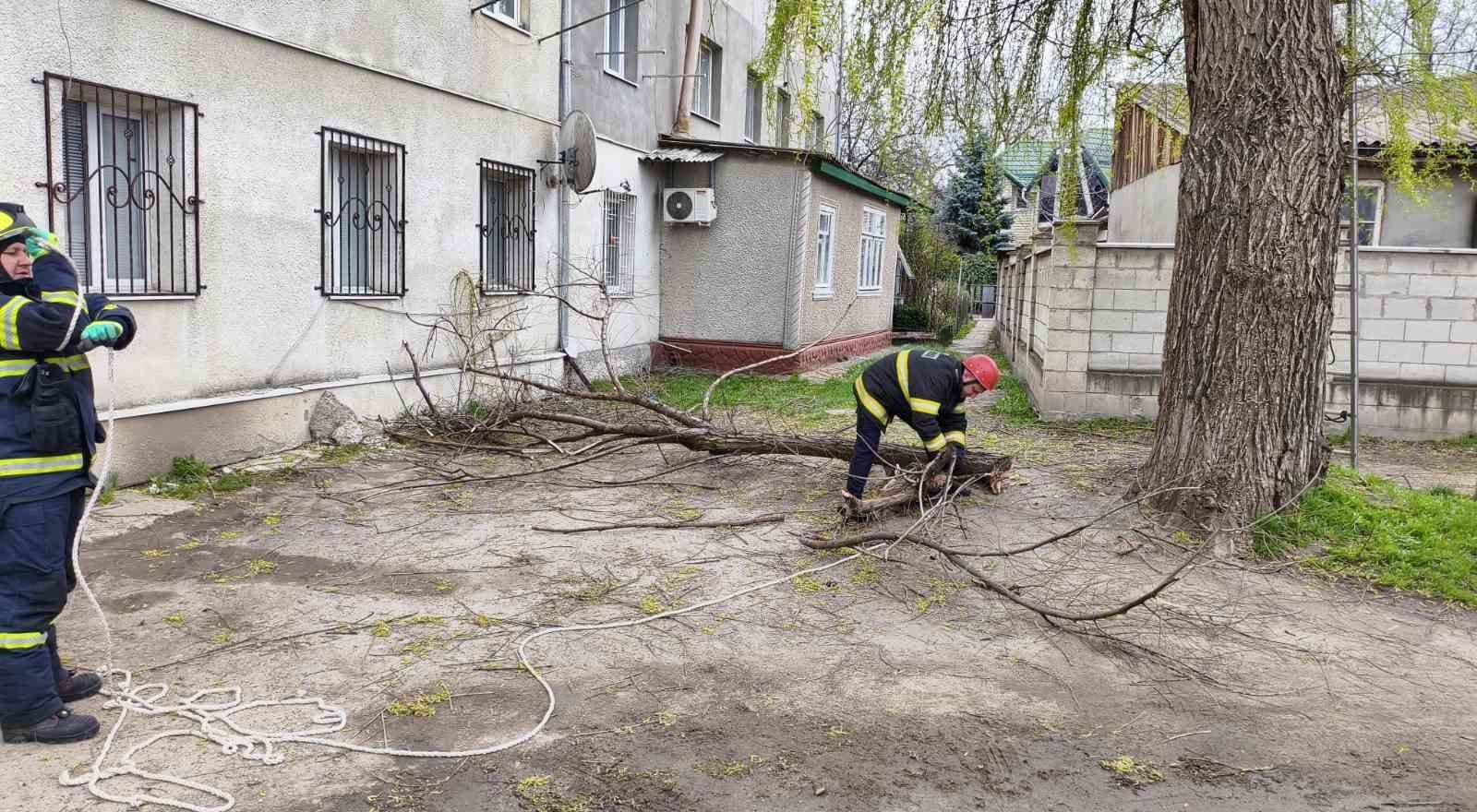 Vântul puternic a doborât arbori și a creat pericole în mai multe localități