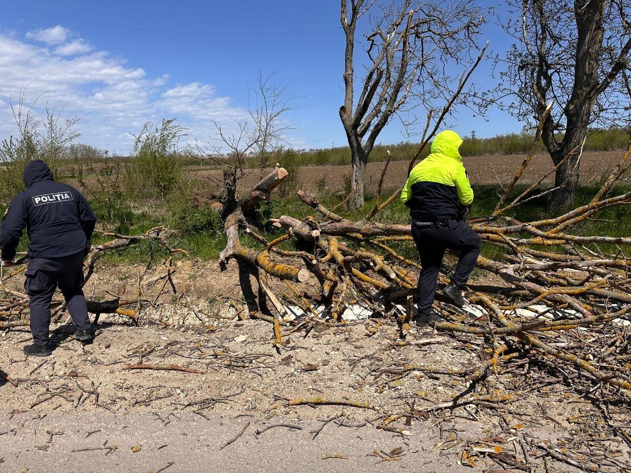 O victimă după rafalele puternice de vânt: un bărbat a murit strivit de un copac în Chișinău