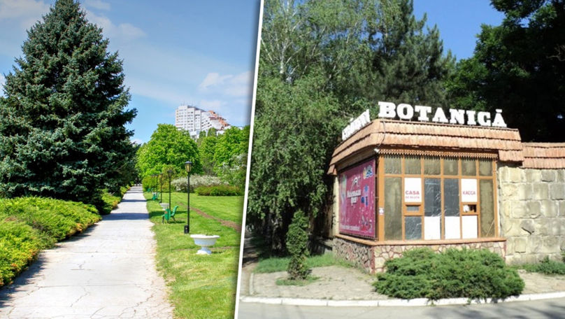 Pierderi de milioane și nereguli la Grădina Botanică.  Administrația evită să reacționeze