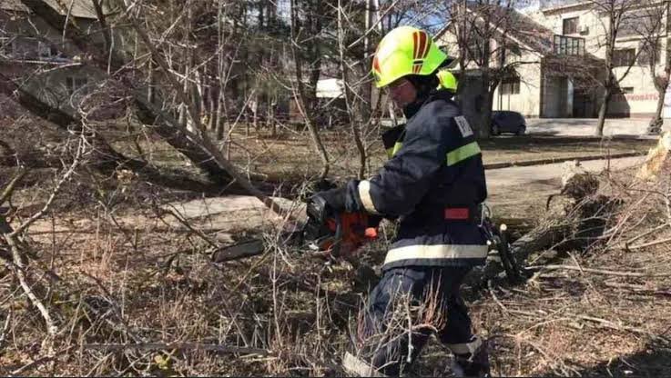 Codul galben de vânt a provocat haos: copaci doborâți, drumuri blocate și zeci de intervenții
