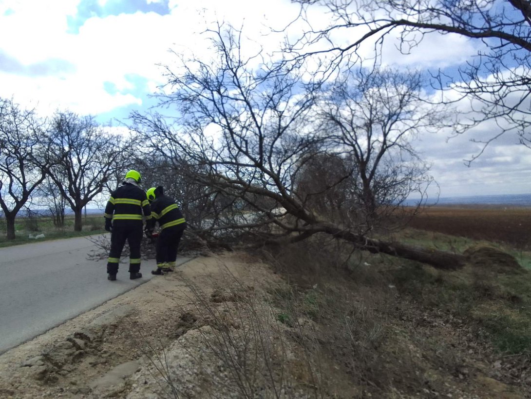 Vântul puternic a făcut ravagii în țară: 17 intervenții ale pompierilor, copaci doborâți și acoperișuri smulse