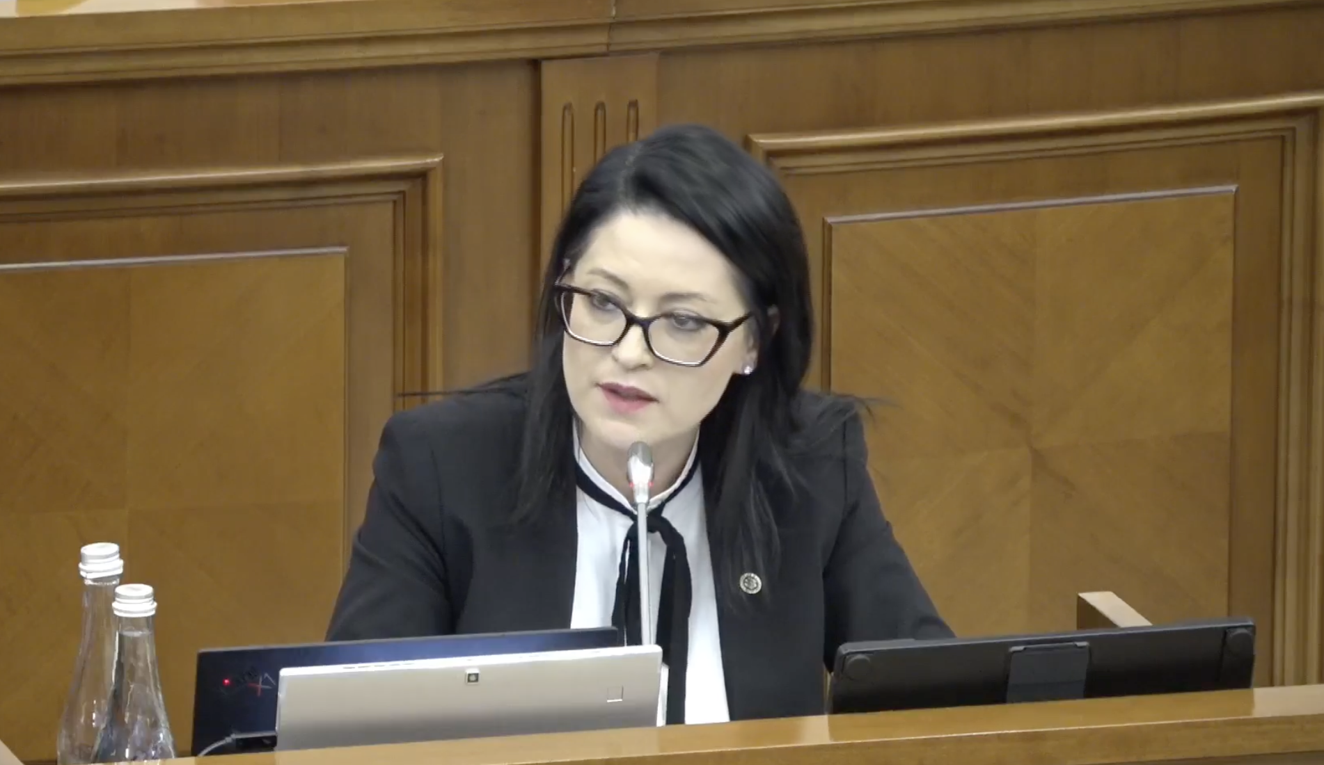 Moțiunea simplă împotriva politicilor Ministerului Muncii și Protecției Sociale a fost respinsă