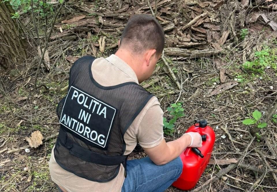 Grupare internațională de traficanți de droguri, anihilată. Cantitate mare de stupefiante, găsită la un moldovean
