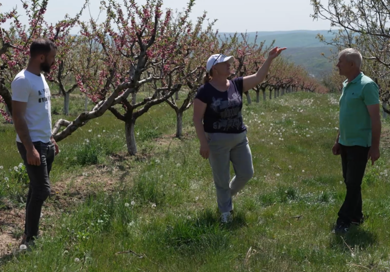 De la șapte ari la o afacere de familie: cum familia Ciobanu din satul Horodiște transformă agricultura în succes