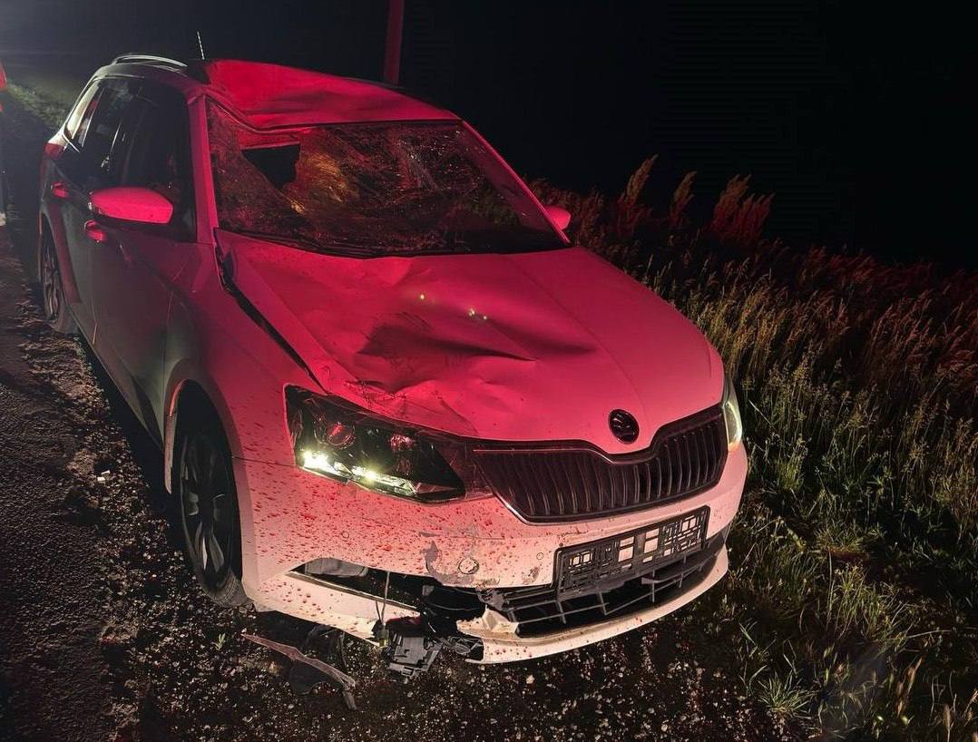 Un biciclist, lovit mortal de un automobil în raionul Drochia. Șoferul a fost reținut