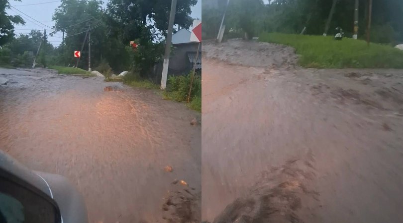 Ploile au făcut ravagii în nordul țării. Mai multe terenuri agricole din raionul Briceni au fost inundate