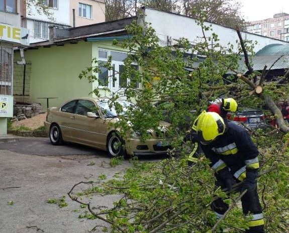 Arbori doborâți și mașini blocate. IGSU a intervenit în 32 de situații de risc